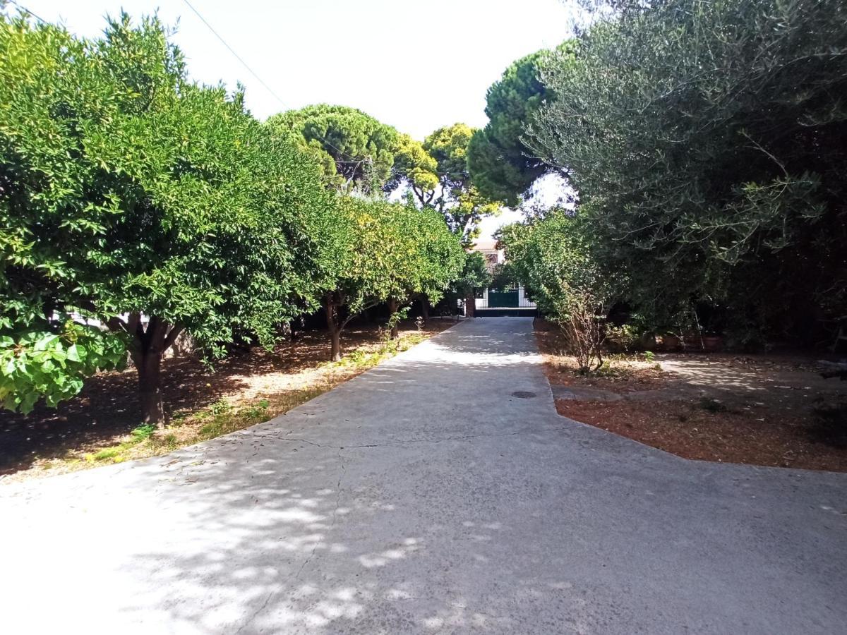 Апартаменти Σπίτι Στο Ρίο Πατρών Με Κήπο - Detached House In Rio With Garden Екстер'єр фото